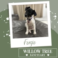 Photo of Fergie