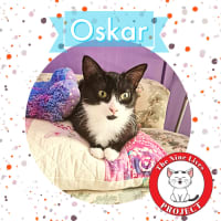 Photo of Nora & Oskar *9 Lives Project Rescue*