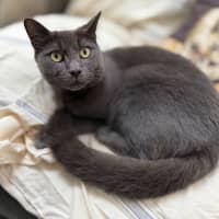 Photo of Luen (9019)