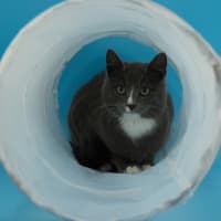 Photo of Mr Bingley