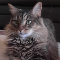 Photo of Aubrey