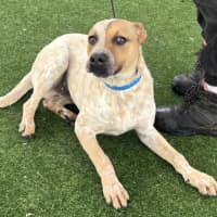 Photo of Caleb Imp 1865