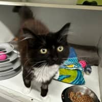 Photo of Jiji