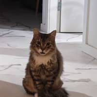 Photo of Rory