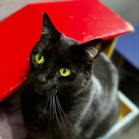 Photo of Minnie