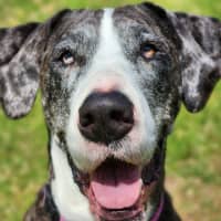 Photo of 🎭 Wednesday 6534 🎭