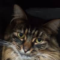 Photo of Storm
