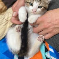 Photo of Berlin (9955)