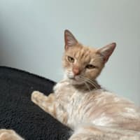 Photo of Flik