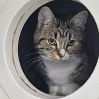 Photo of Flour