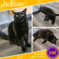 Photo of Jackson