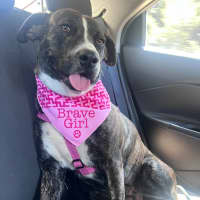 Photo of Darcee Cameron