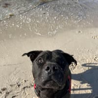 Photo of Monte