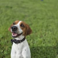 Photo of Wally