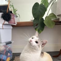 Photo of Possum & Spex 