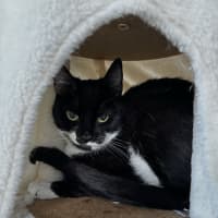 Photo of Nikki