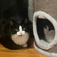 Photo of Scotty & Rosie