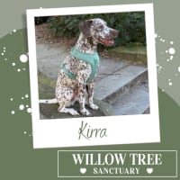 Photo of Kirra