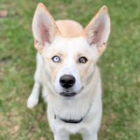 Photo of Sugar