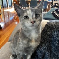 Photo of Stormy