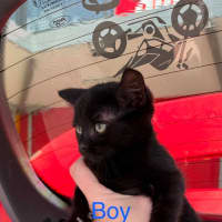 Photo of Sullie