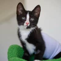 Photo of 🤩 Charlie Girl 🤩