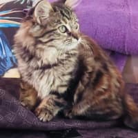 Photo of Jaffa