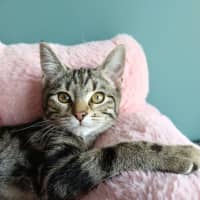 Photo of Mindy