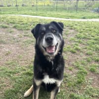 Photo of Zeus 