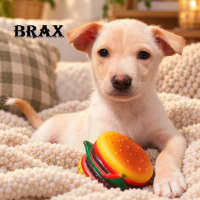 Photo of Brax