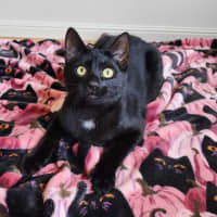 Photo of Winton