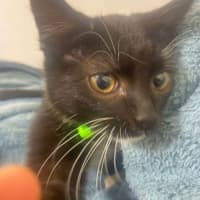 Photo of Kiki