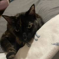 Photo of Charlotte