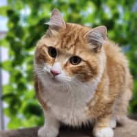 Photo of 🐠 Nemo 5314 🐠