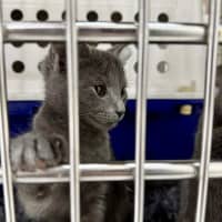 Photo of Dee   Located In Preston