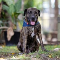 Photo of Jaxx