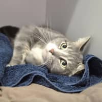 Photo of Jasper