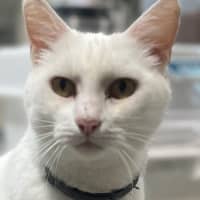 Photo of Moffy (0899)