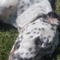 Photo of Storm