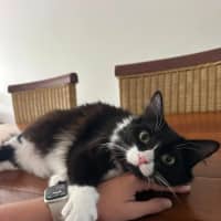 Photo of Willow And Jasper