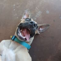 Photo of Benny