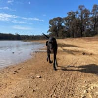 Photo of Roxy Peggotty