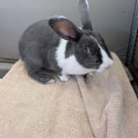 Photo of Mildred