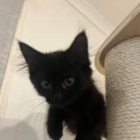 Photo of Turbo 