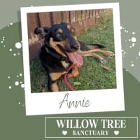 Photo of Annie