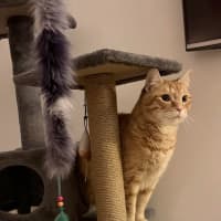 Photo of Alroy