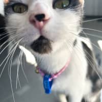 Photo of Sooty