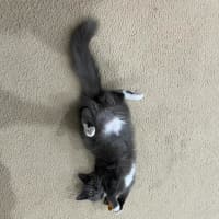 Photo of Keisha