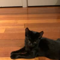 Photo of Sissy