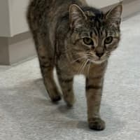 Photo of Sally Field (9004)